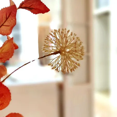 Апартаменти Adara Vegueta Exclusive