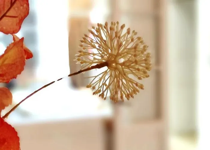 아파트 Adara Vegueta Exclusive